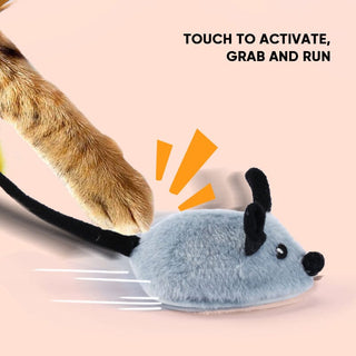 SAKER® Electronic Cat Toy Interactive